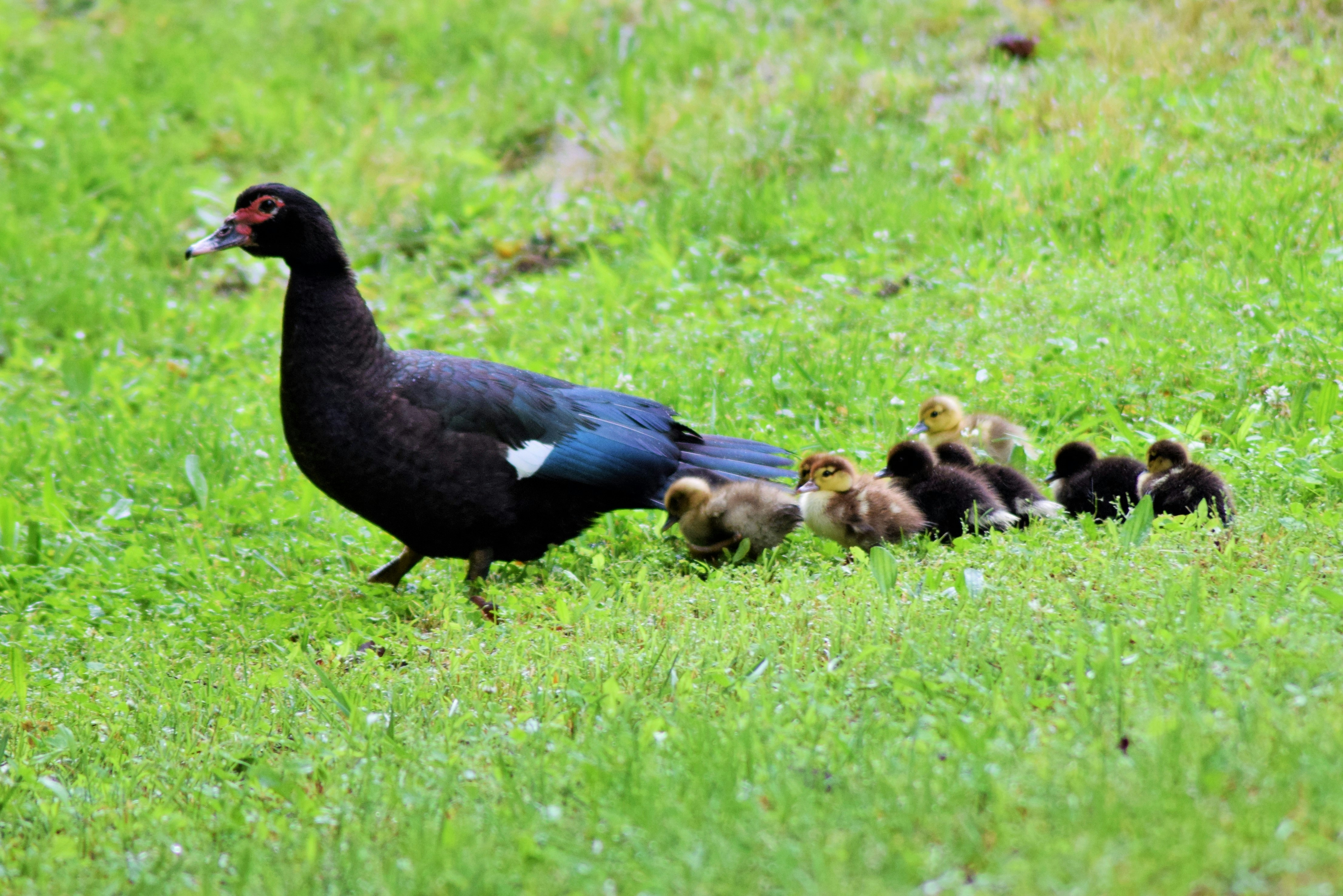 Free Unsplash photo from Krista Norris