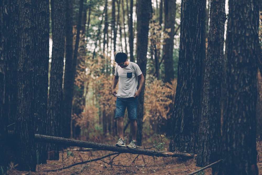 man standing on tree branch