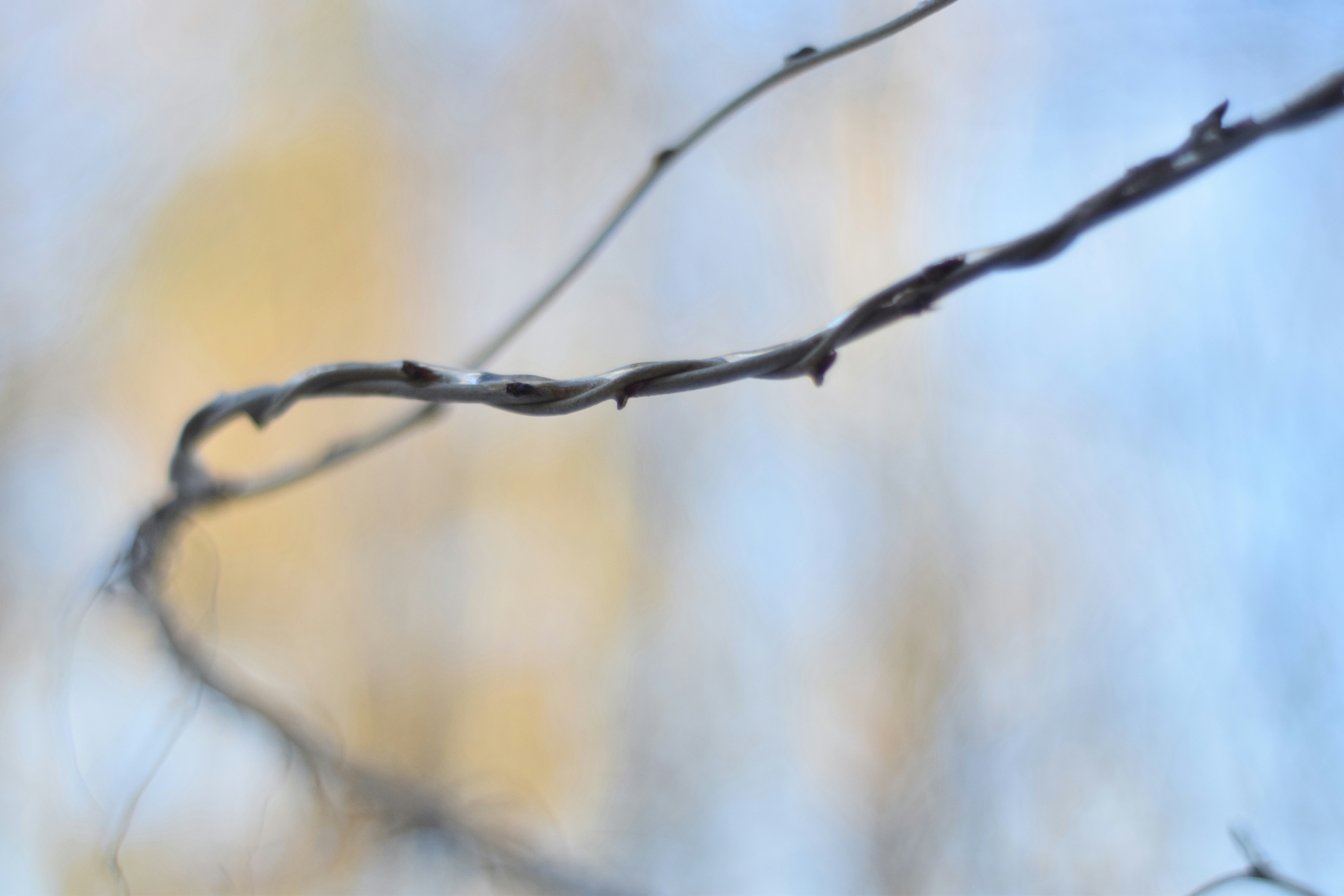 Free Unsplash photo from Krista Norris