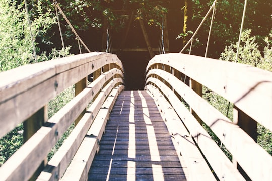 brown wooden bridge over river in Eagle Creek United States