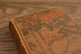 A vintage book with a worn cover, featuring the title 'The Young Lion Hunter' in bold red letters. The cover design includes an illustration of a lion in a tree, crafted in a muted green color. The book is placed on a wooden surface, adding to the rustic and nostalgic feel.