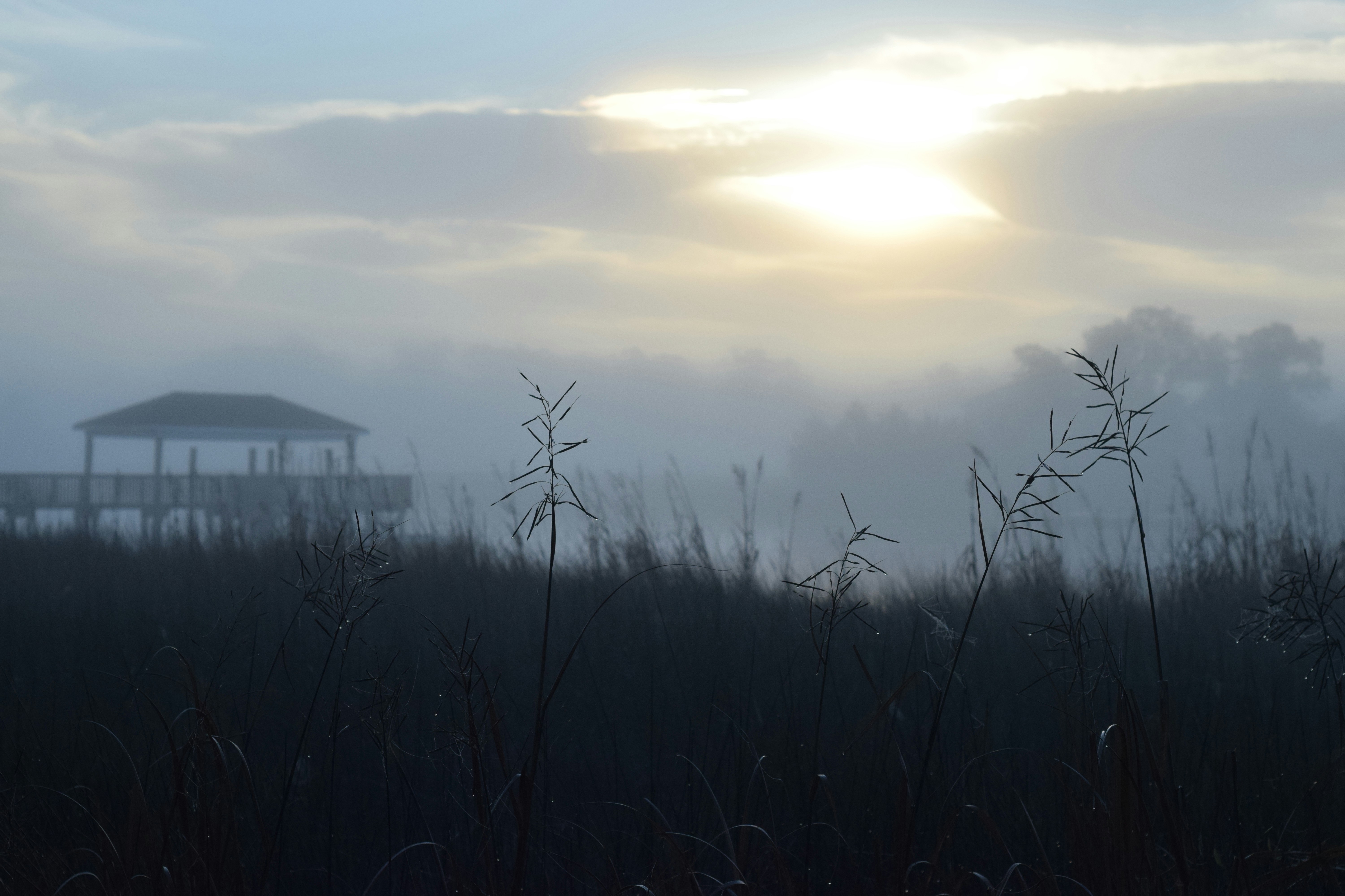 Free Unsplash photo from Krista Norris