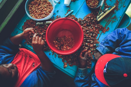 Two people are seated at a table covered in pecan shells. They are wearing blue and red clothing. One person appears to be cracking pecans while the other is sorting them. Several containers are scattered on the table, with a large red bowl in the center filled with broken shells.