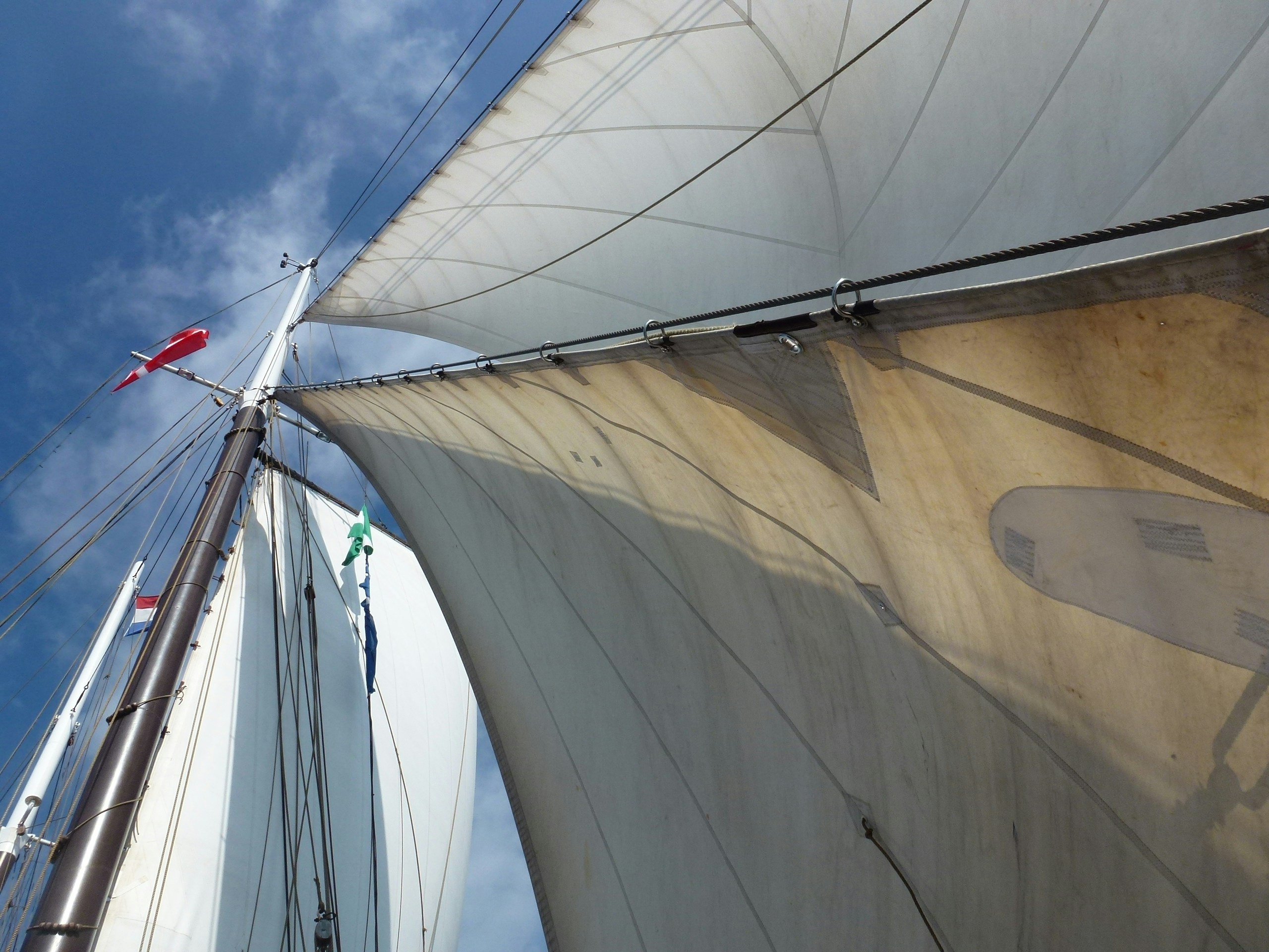 Free Unsplash photo from Lina Sauer