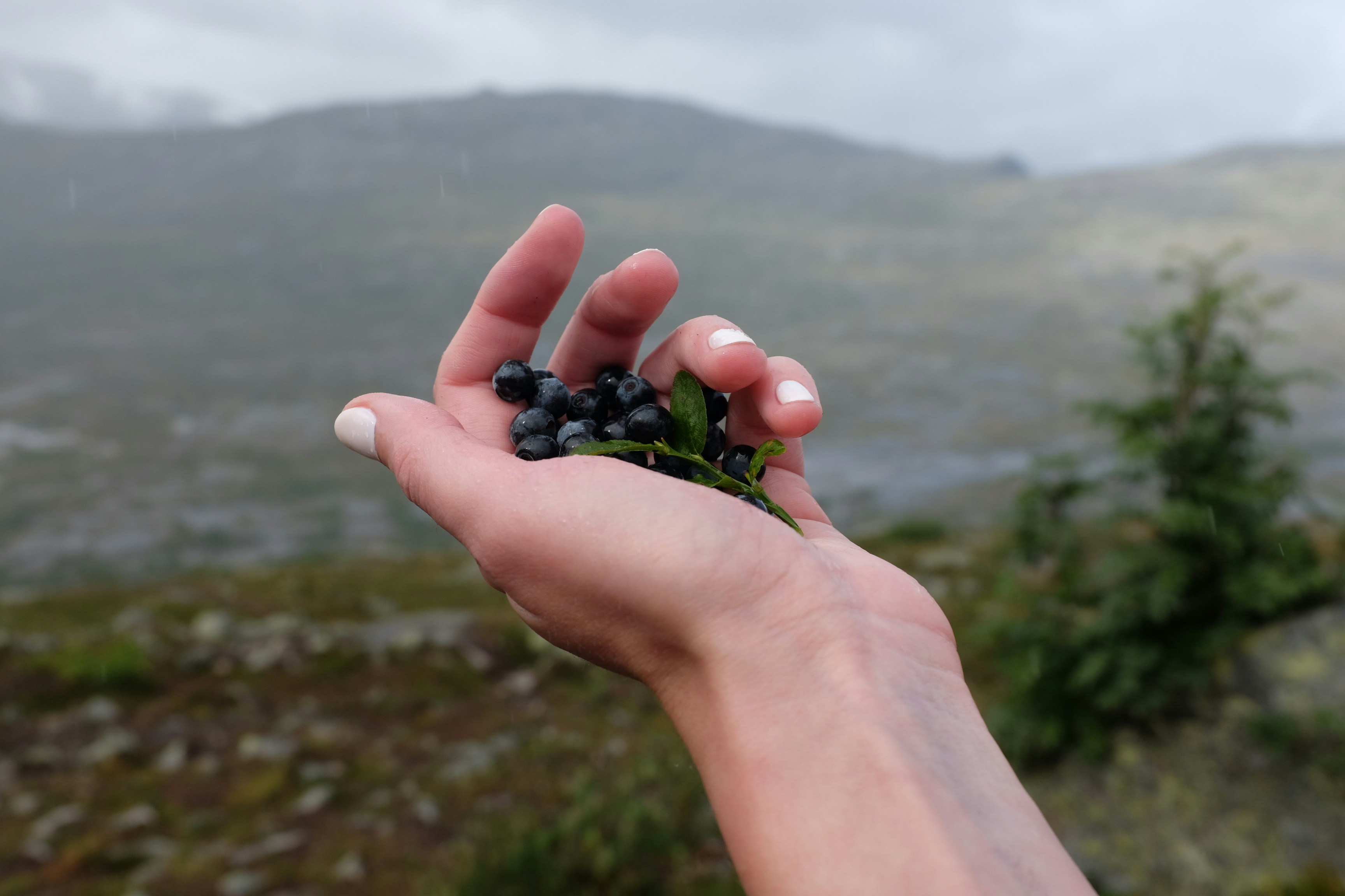 Free Unsplash photo from Tanya Tulupenko