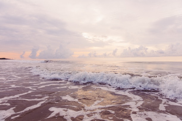 A peaceful seaside view with gentle waves reflecting the soft morning light.