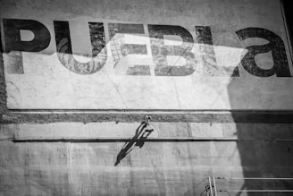A black and white mural with the word 'PUEBLA' prominently painted on a textured, weathered wall. A figure scaling the wall with the aid of climbing gear casts a shadow on the surface.