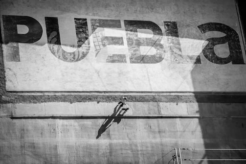 A black and white mural with the word 'PUEBLA' prominently painted on a textured, weathered wall. A figure scaling the wall with the aid of climbing gear casts a shadow on the surface.