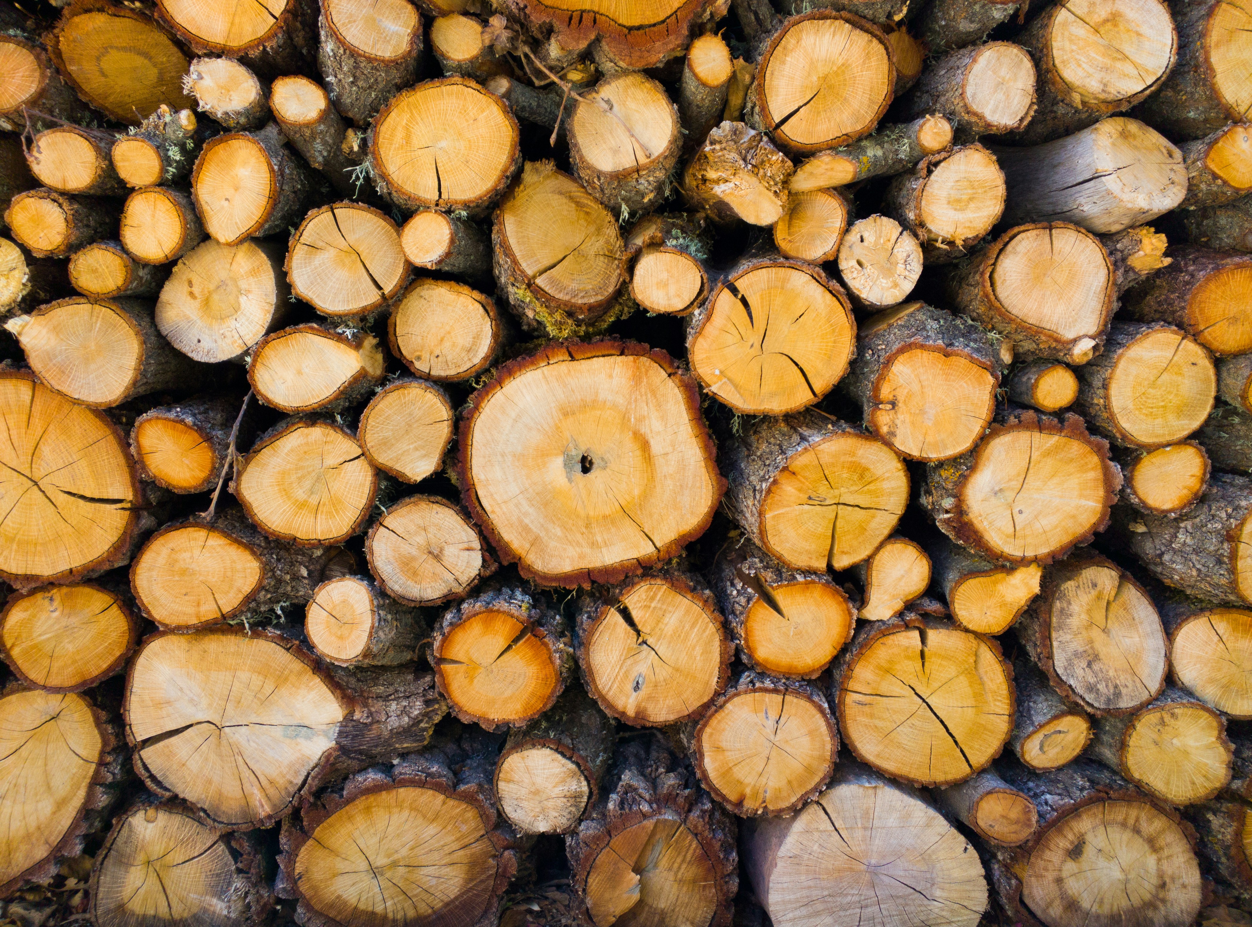 Premium Quality Hardwood Selection