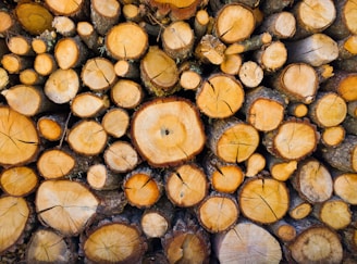 A stack of cut logs with various diameters and lengths. The end grain patterns and annual rings are visible, revealing the natural texture and color variations of the wood. Some bark is still attached to the logs, adding contrast.