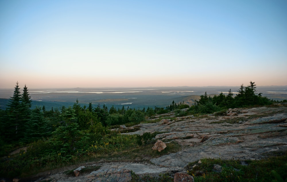 a scenic view of a mountain with a few trees