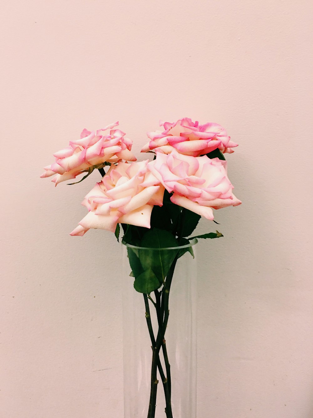 pink rose arrangement