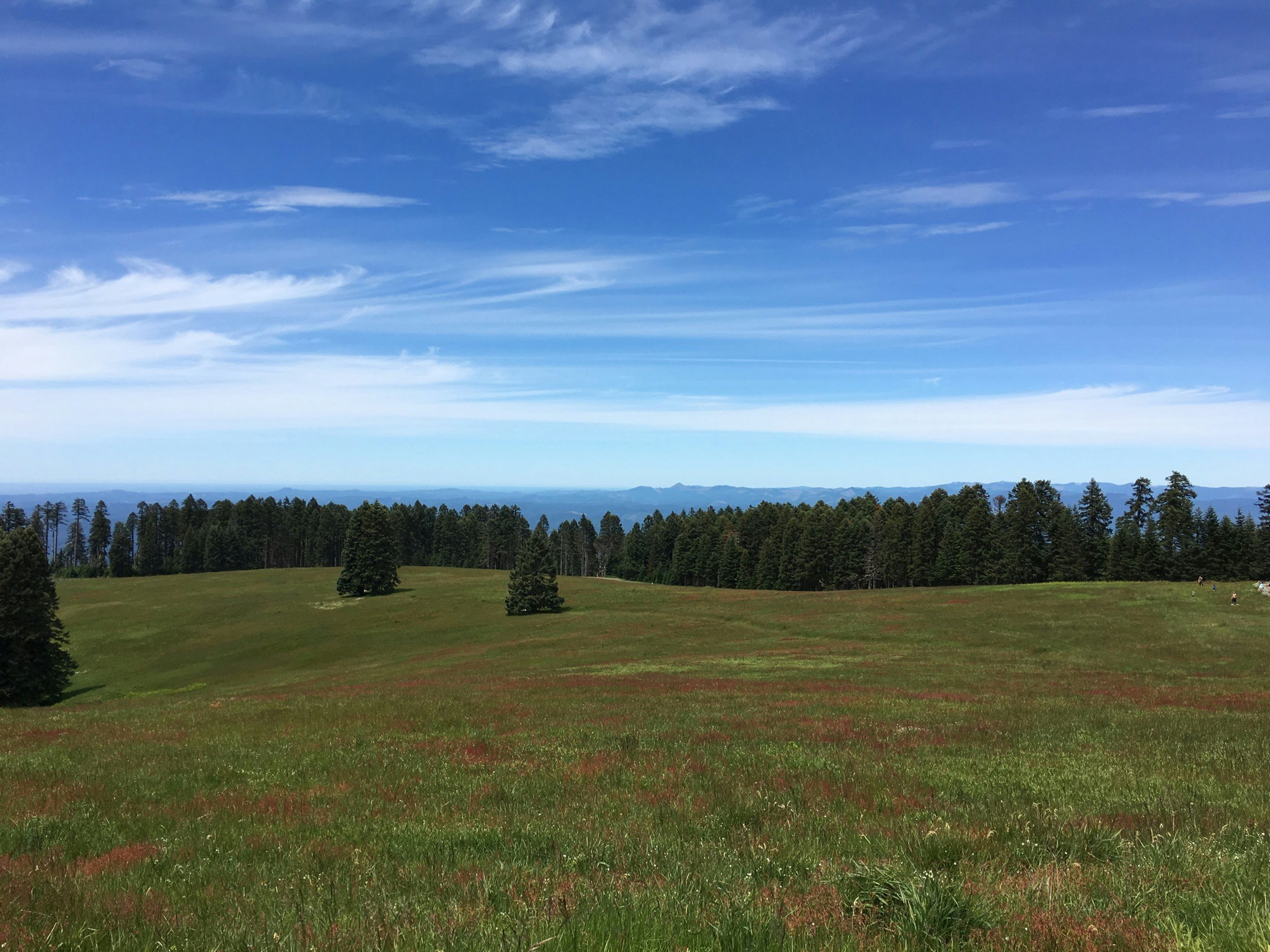 Free Unsplash photo from John McQueen