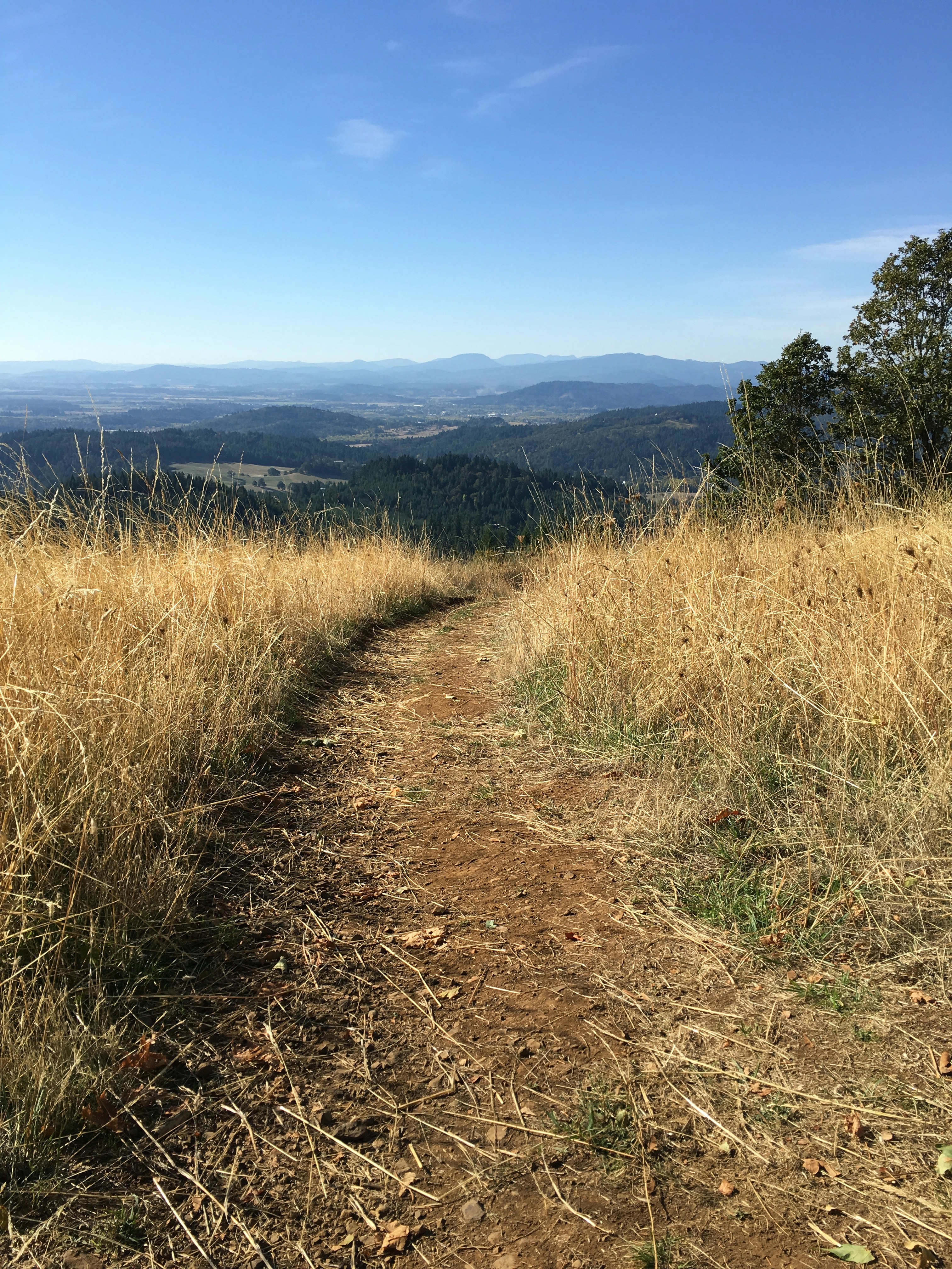 Free Unsplash photo from John McQueen