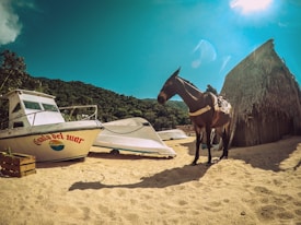 A sandy beach scene with a small boat featuring the words 'Gabilo del Mar' parked on the shore. Next to it, a brown horse is saddled and tethered by a thatched hut, with lush green hills and a vibrant blue sky in the background. The sun shines brightly, creating a warm, inviting atmosphere.