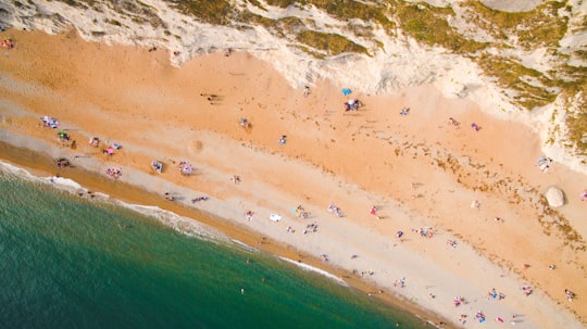 aerial view of people by the beach during daytime in Durdle Door United Kingdom