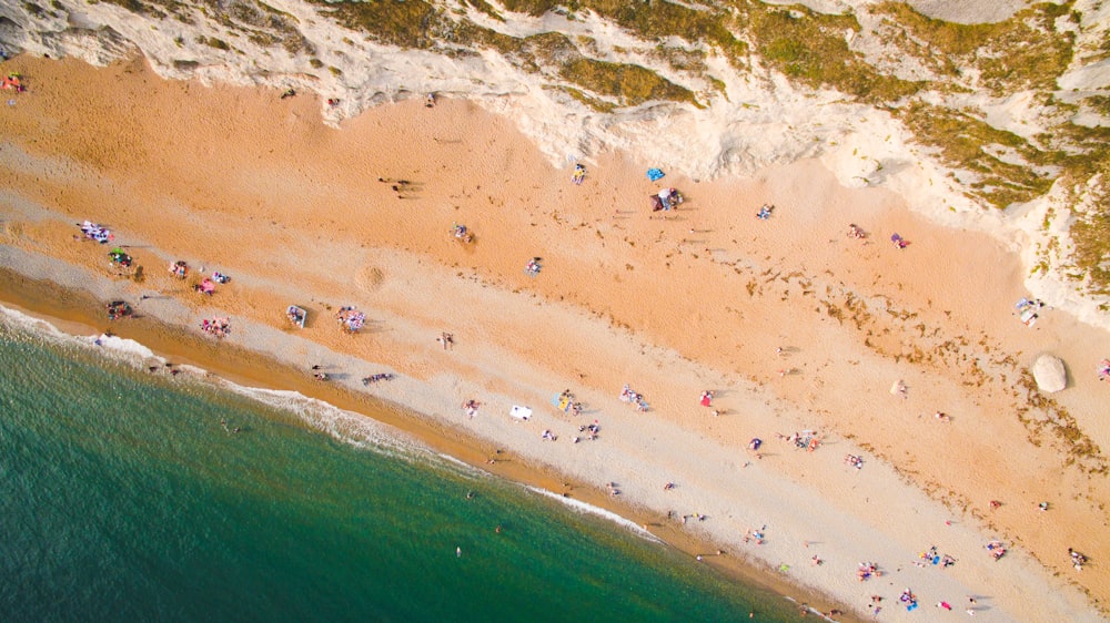 Vue aérienne des gens au bord de la plage pendant la journée