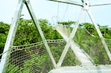 The lush greenery of Kakum National Park with its canopy walkway.