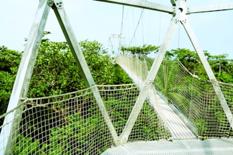 A canopy walkway supported by metal frames stretches out over lush green vegetation. The walkway is suspended and equipped with netting on the sides for safety, providing a view of the surrounding treetops.