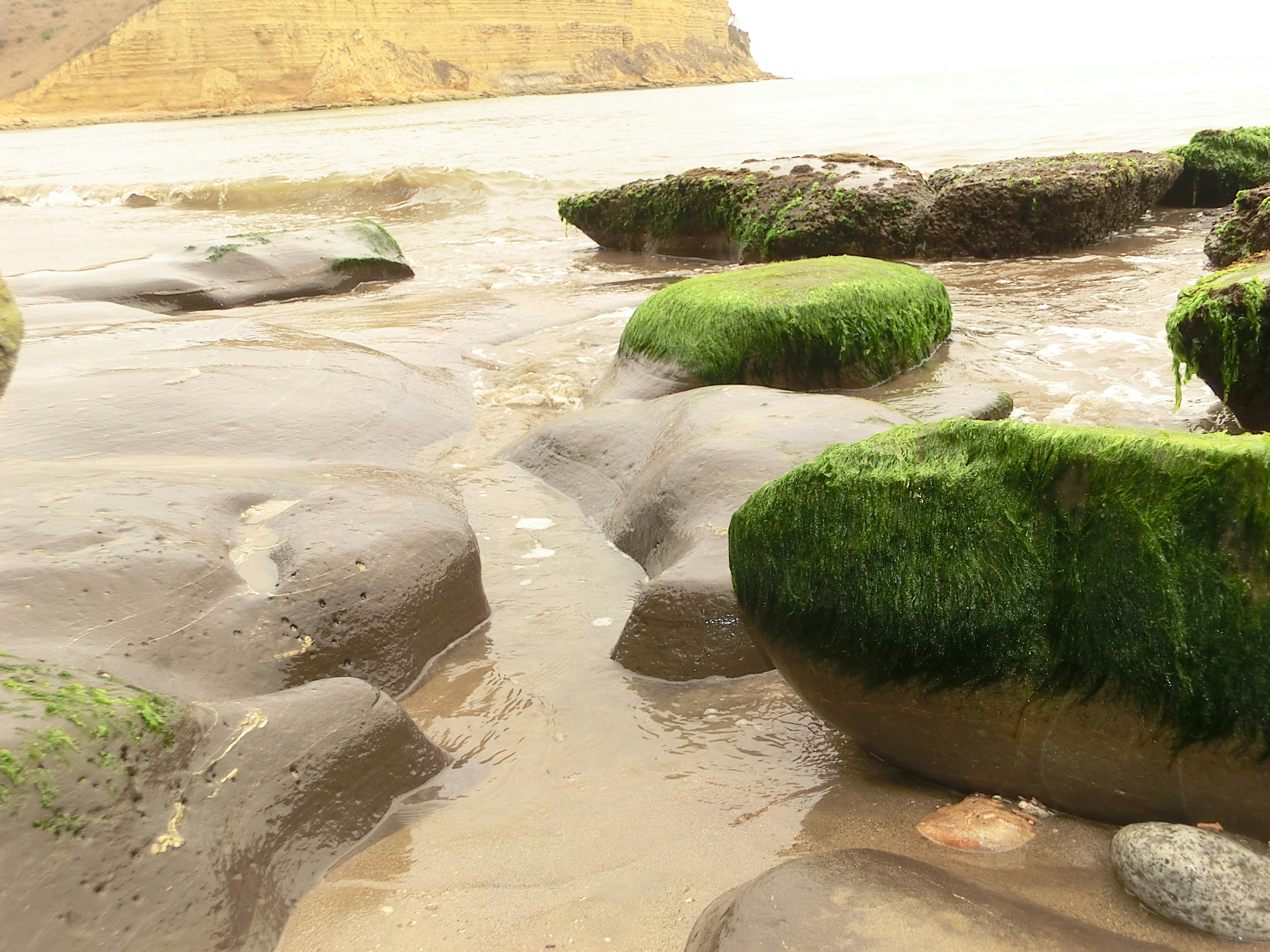 Free Unsplash photo from Henrique Da Silva Castro