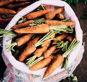 ripe carrots inside white net sack