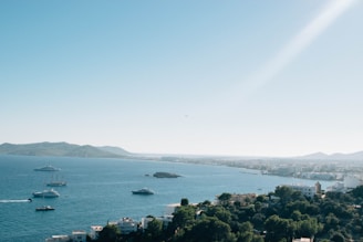 Several boats and yachts are sailing on a vast expanse of blue sea, with a distant coastline and mountainous landscape in the background. The foreground features a lush area with trees and several buildings overlooking the ocean. The sky is clear and expansive, with minimal cloud cover, suggesting a sunny day.