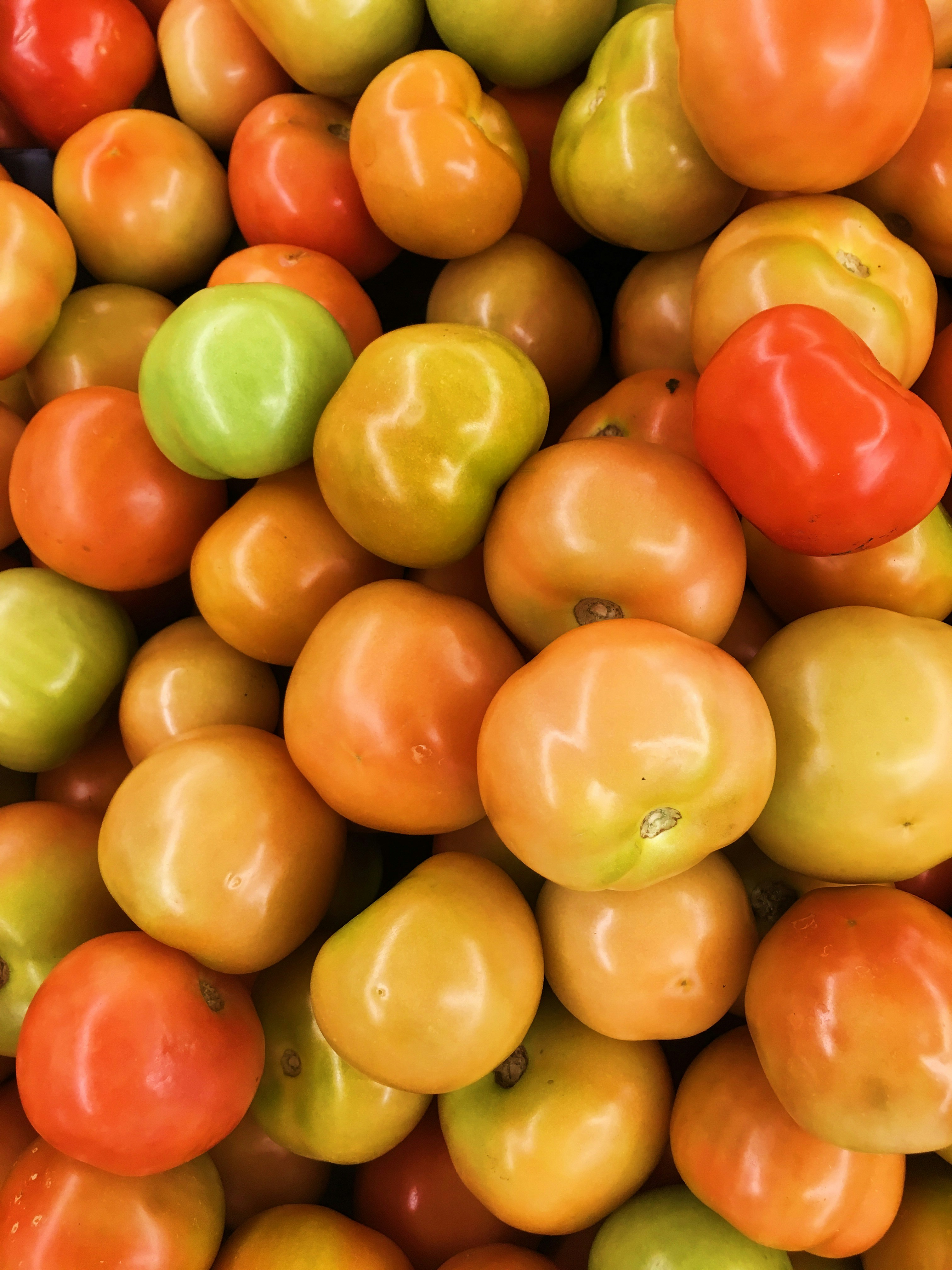 Free Unsplash photo from Chee Siong Teh