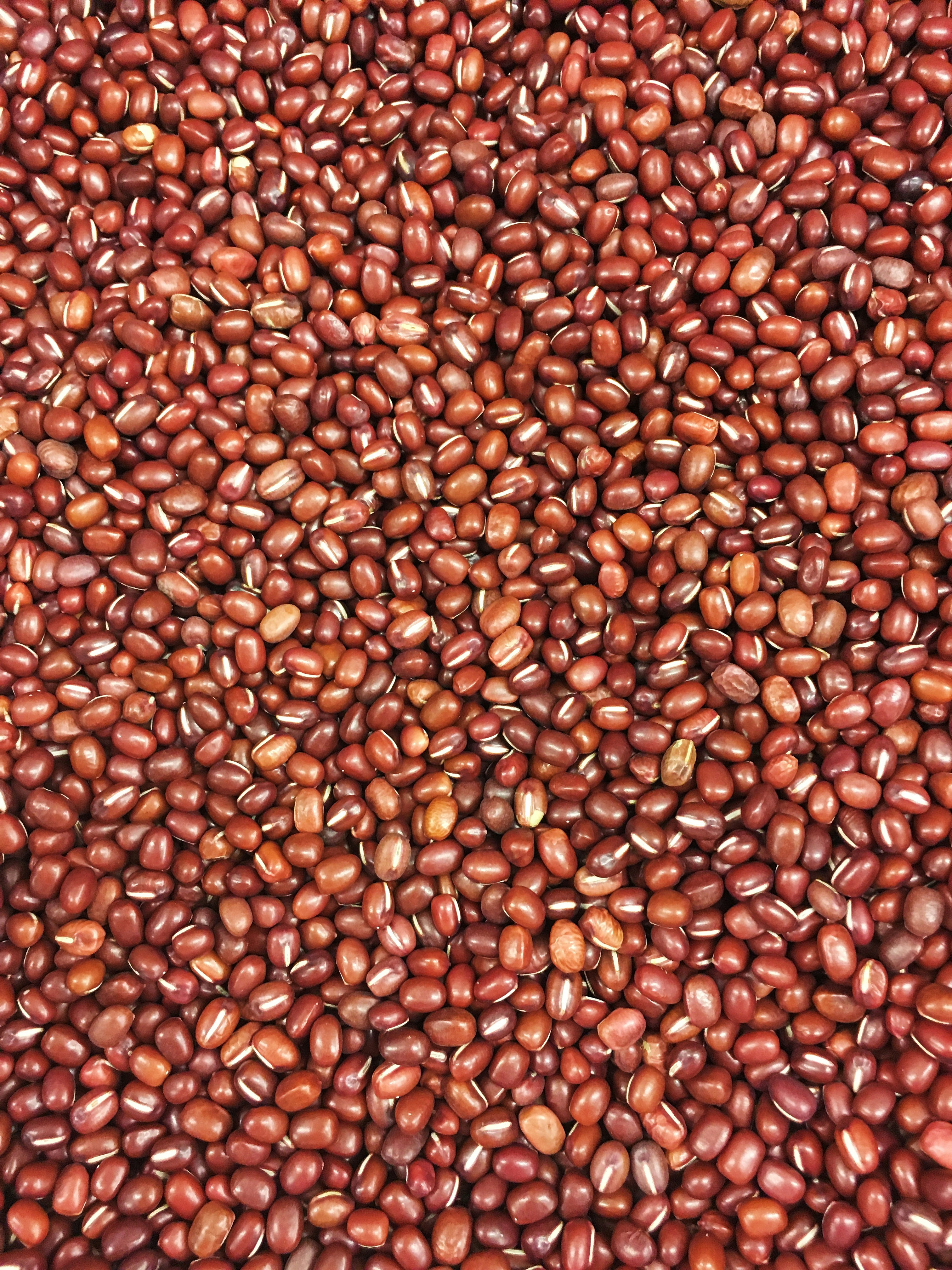 Free Unsplash photo from Chee Siong Teh