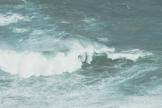 gray ocean wave during daytime in Nugget Point Lighthouse New Zealand