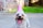 A small dog with long, fluffy fur is wearing a pink party hat. The dog's tongue is out, giving it a cheerful appearance. It is standing on a concrete surface with a grassy area and a brick wall in the background.