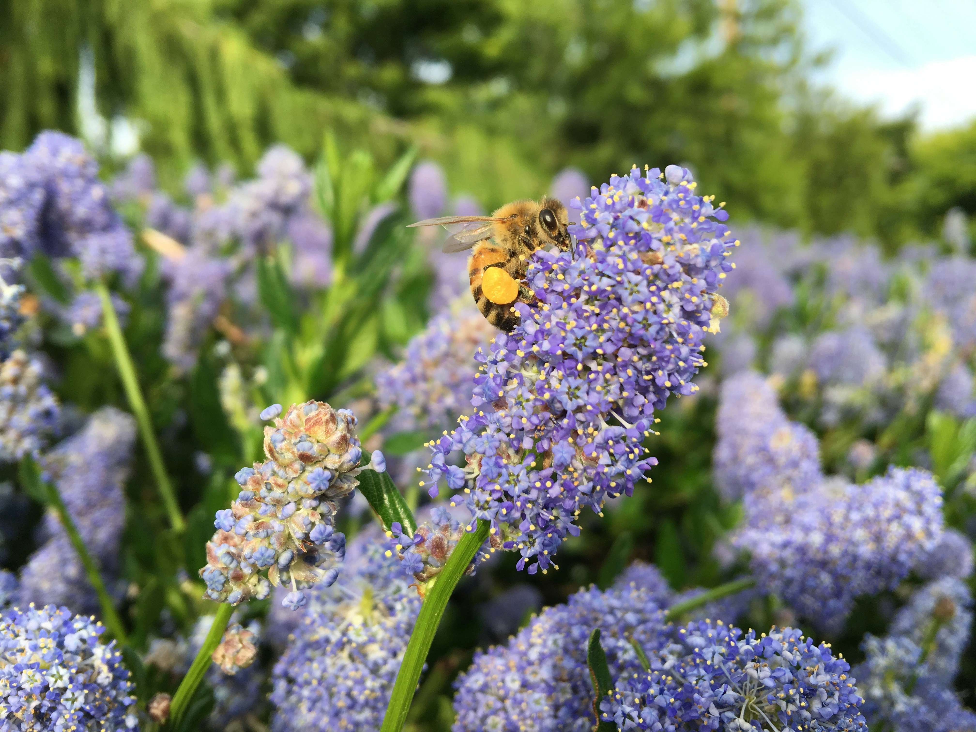 Free Unsplash photo from Tony Martinez