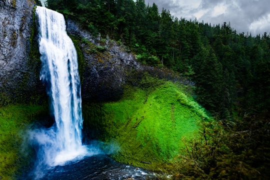 waterfalls during daytime in Willamette National Forest United States
