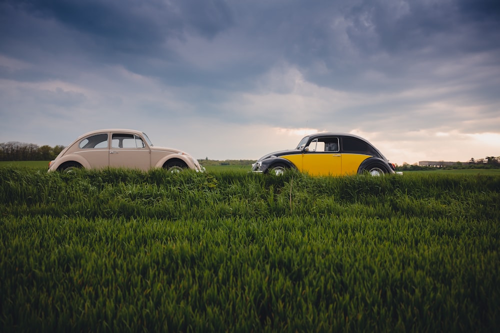 white and yellow Volkswagen Beetles on open ground