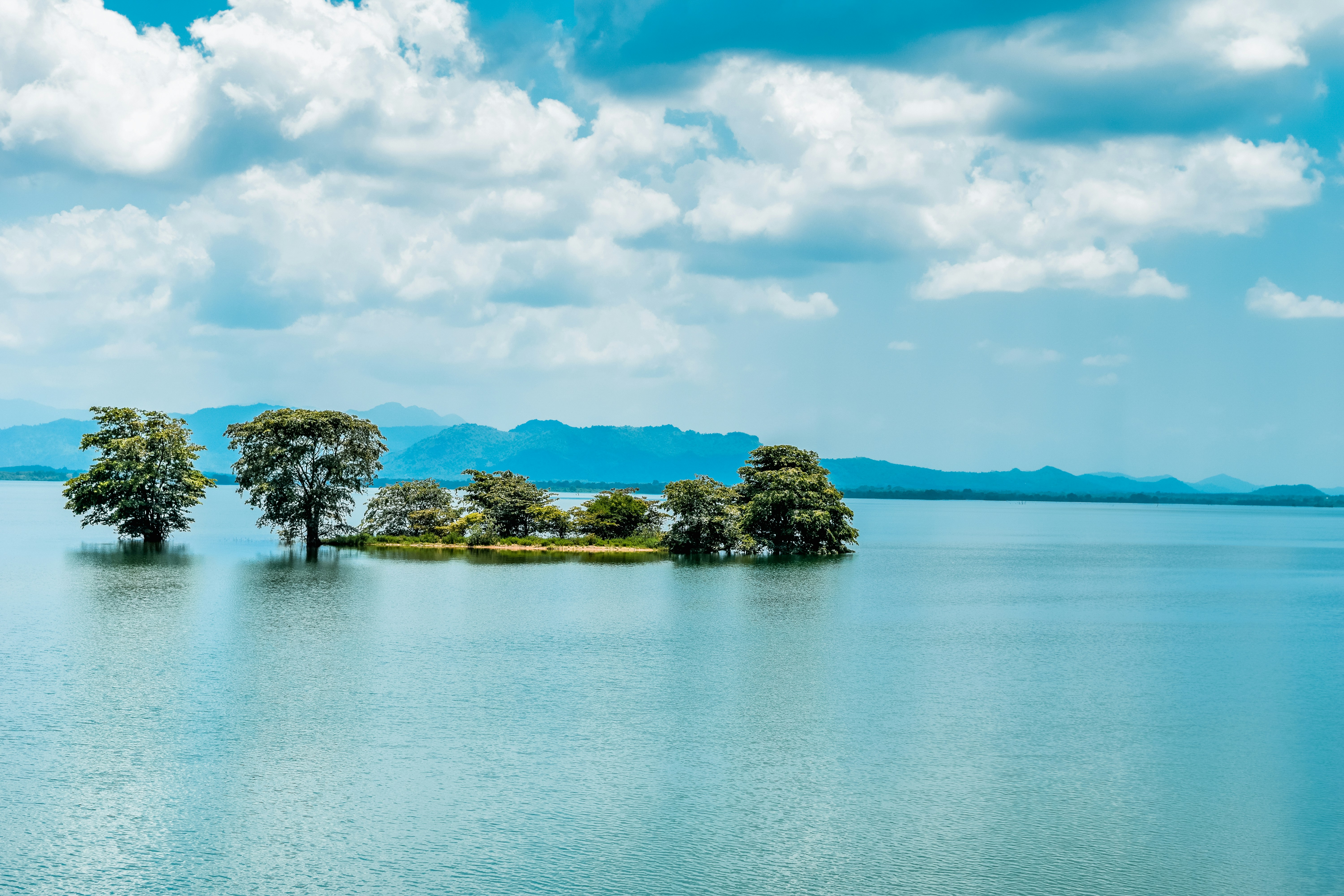 Free Unsplash photo from Rochana Uyanage