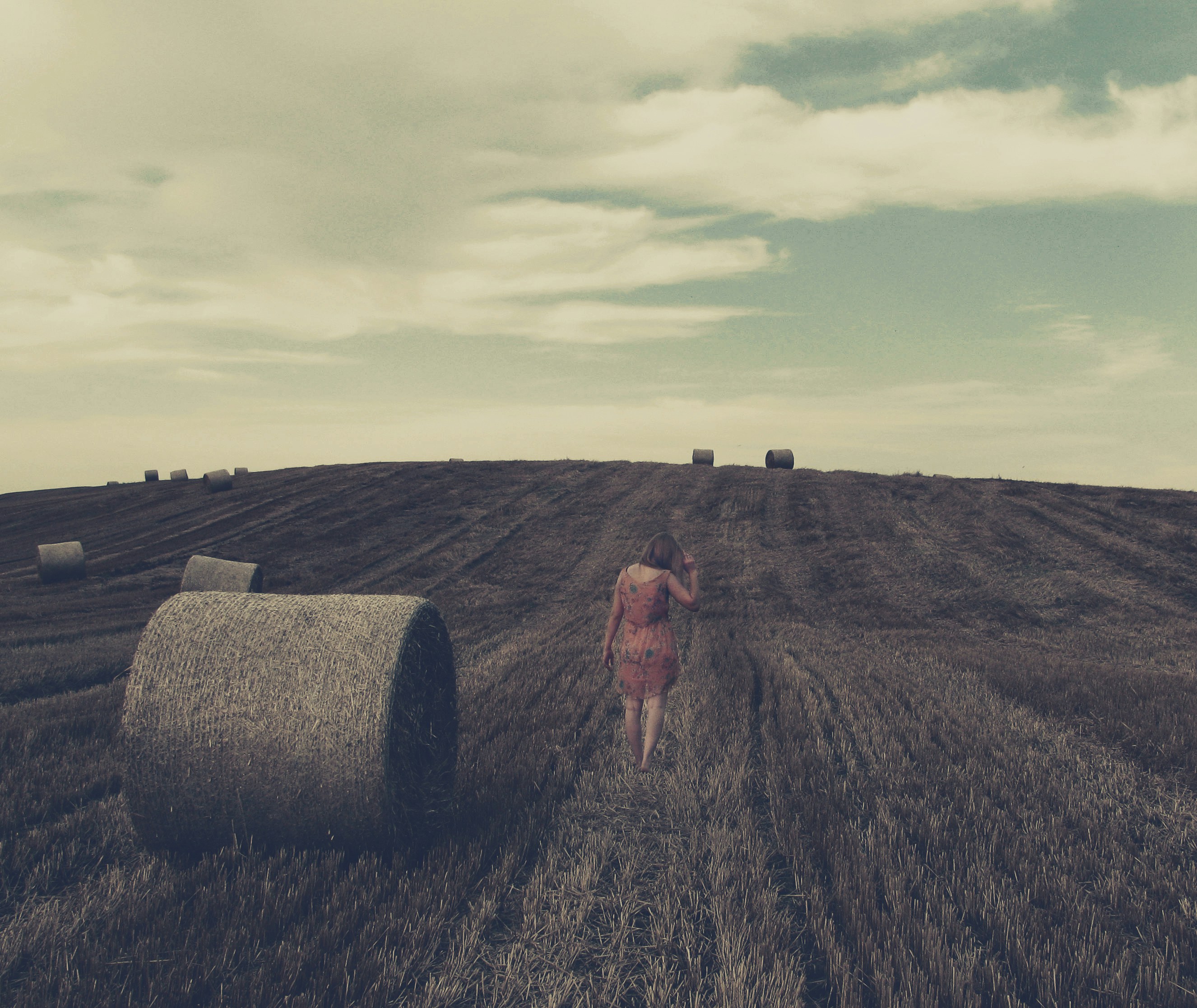 Free Unsplash photo from Viktor Pratnemer