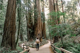 man wearing gray T-shirt standing on forest