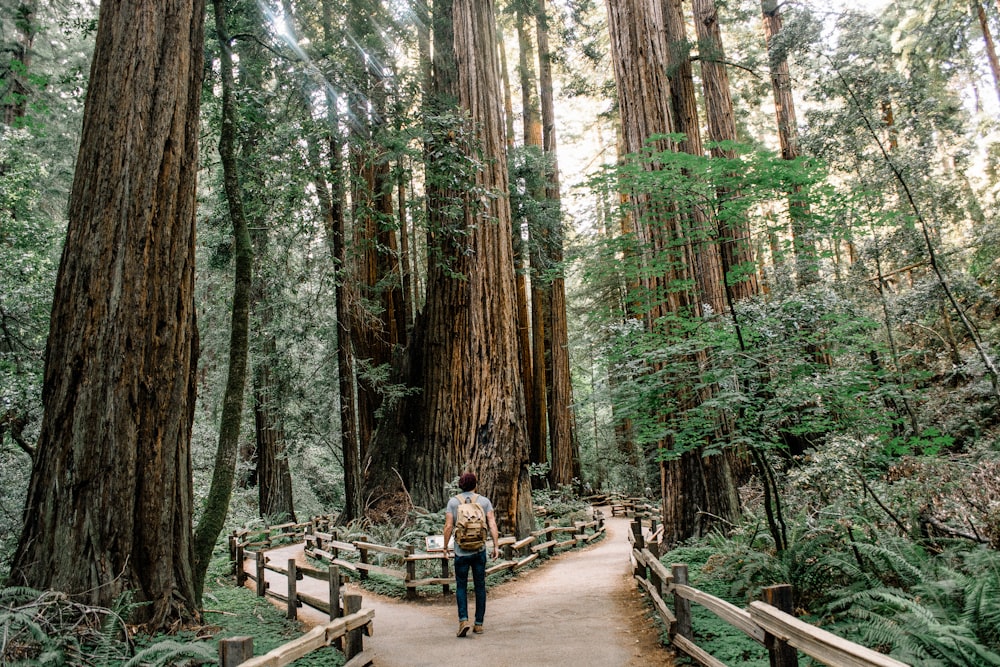 man wearing gray T-shirt standing on forest