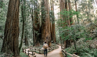 man wearing gray T-shirt standing on forest