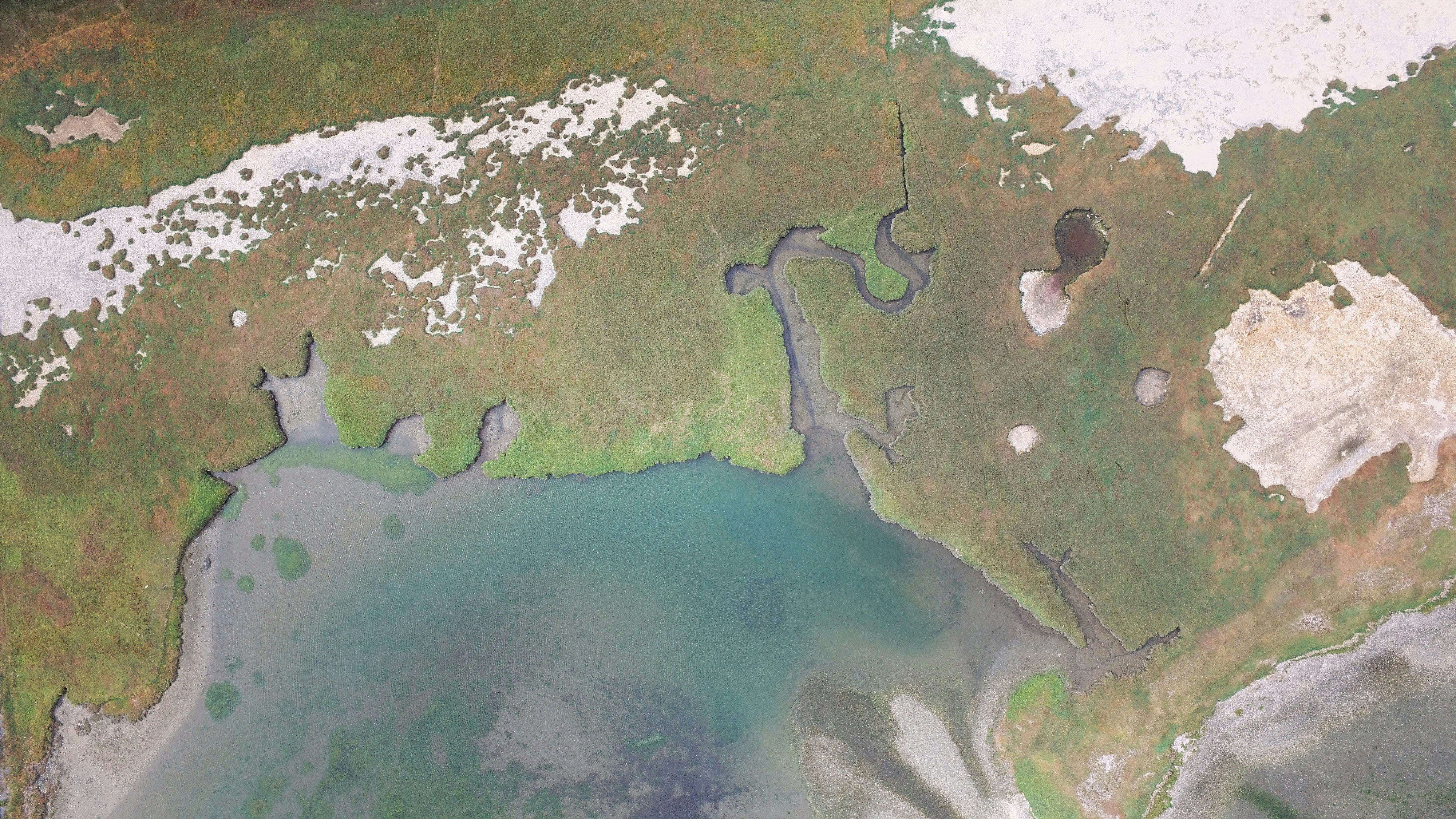 LPS destination photo