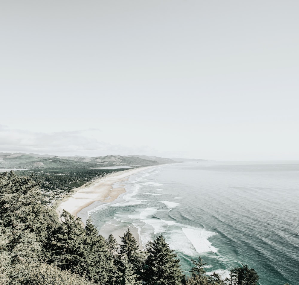 aerial view of sea