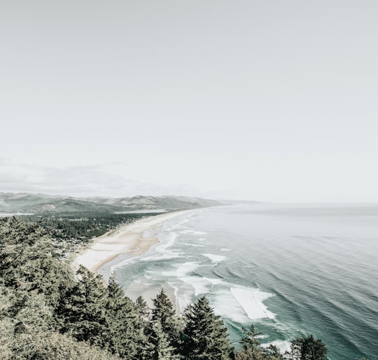 aerial view of sea in Oregon United States