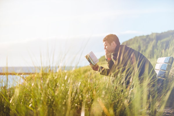 Reading in a meadow