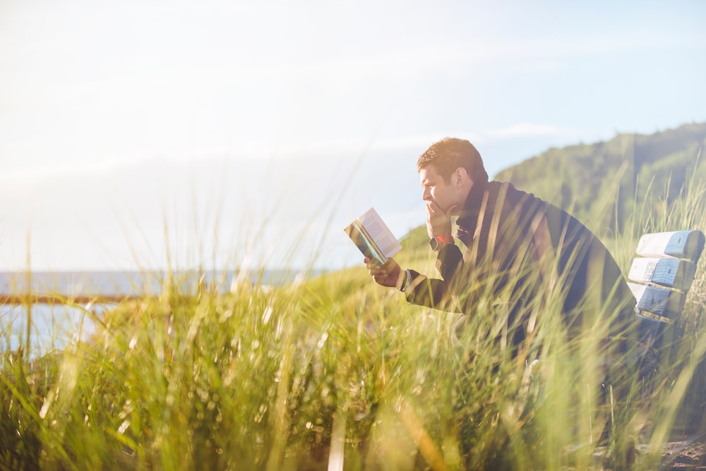 A man reading his book while sitting on a bench in a meadow