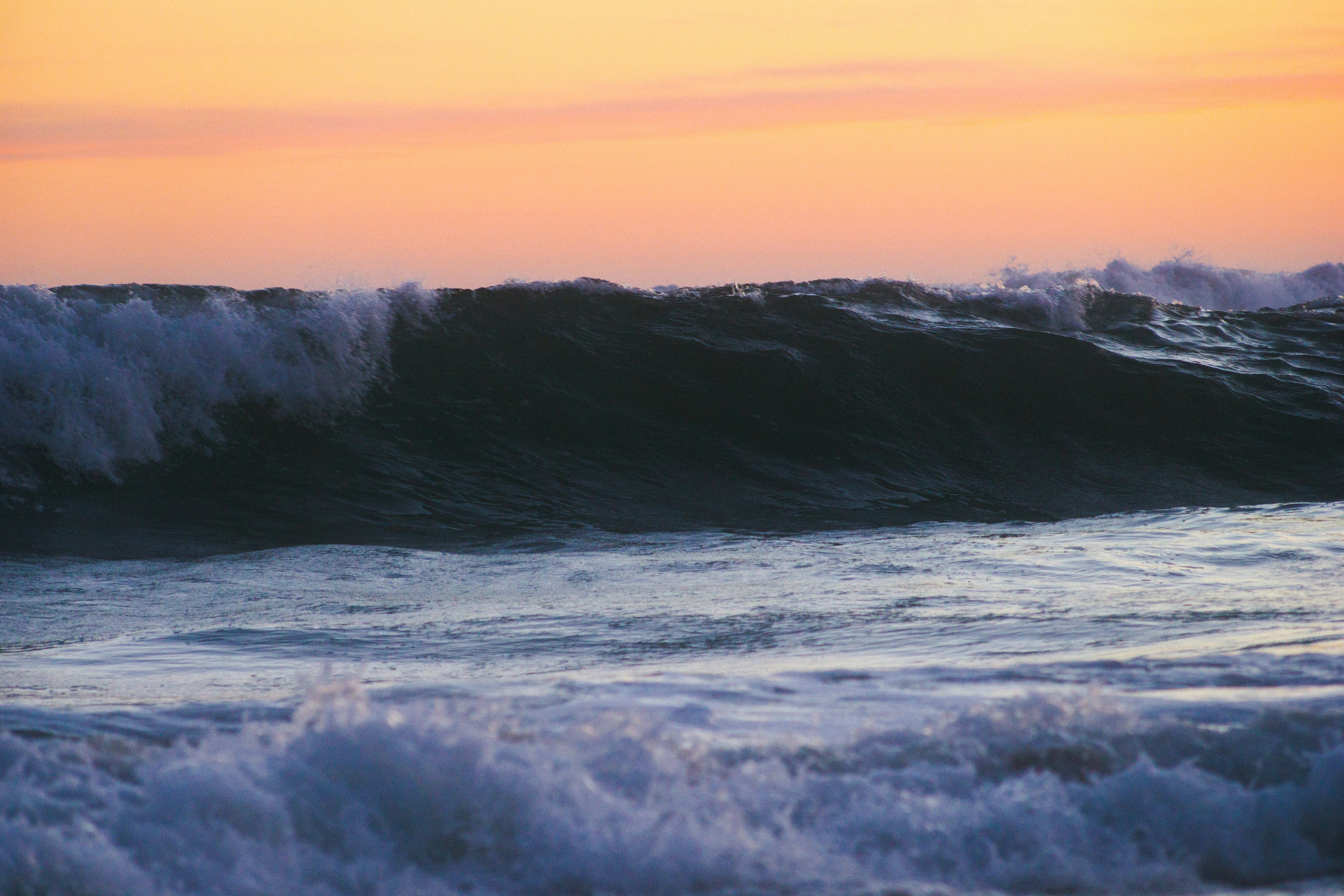 Free Unsplash photo from Dominik Lange