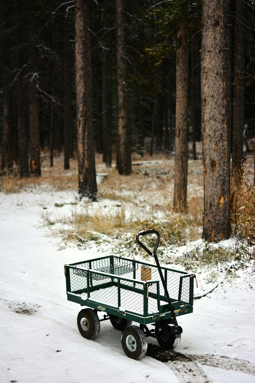 green and black metal pull wagon on white snow