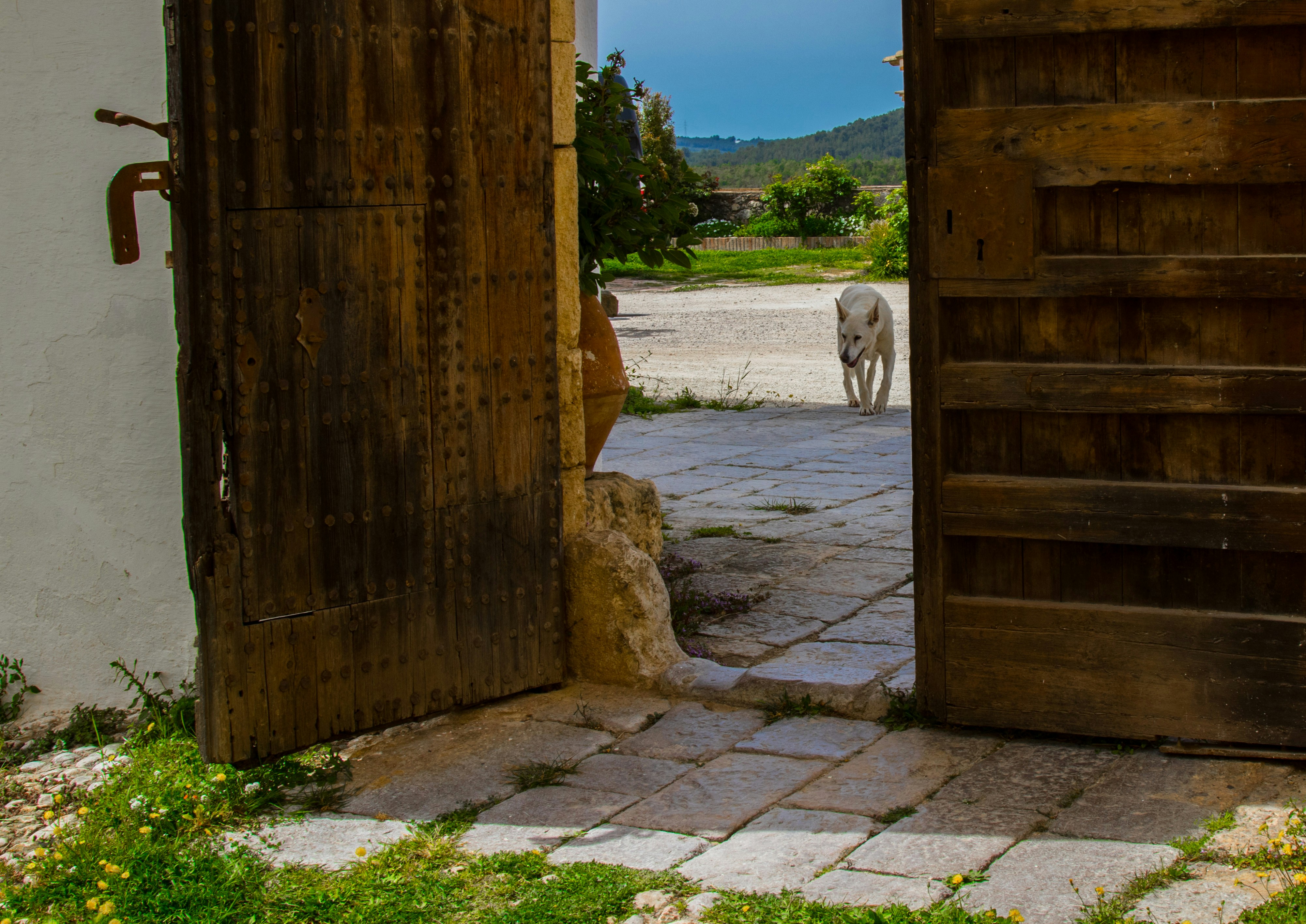 Free Unsplash photo from Josh Feldman