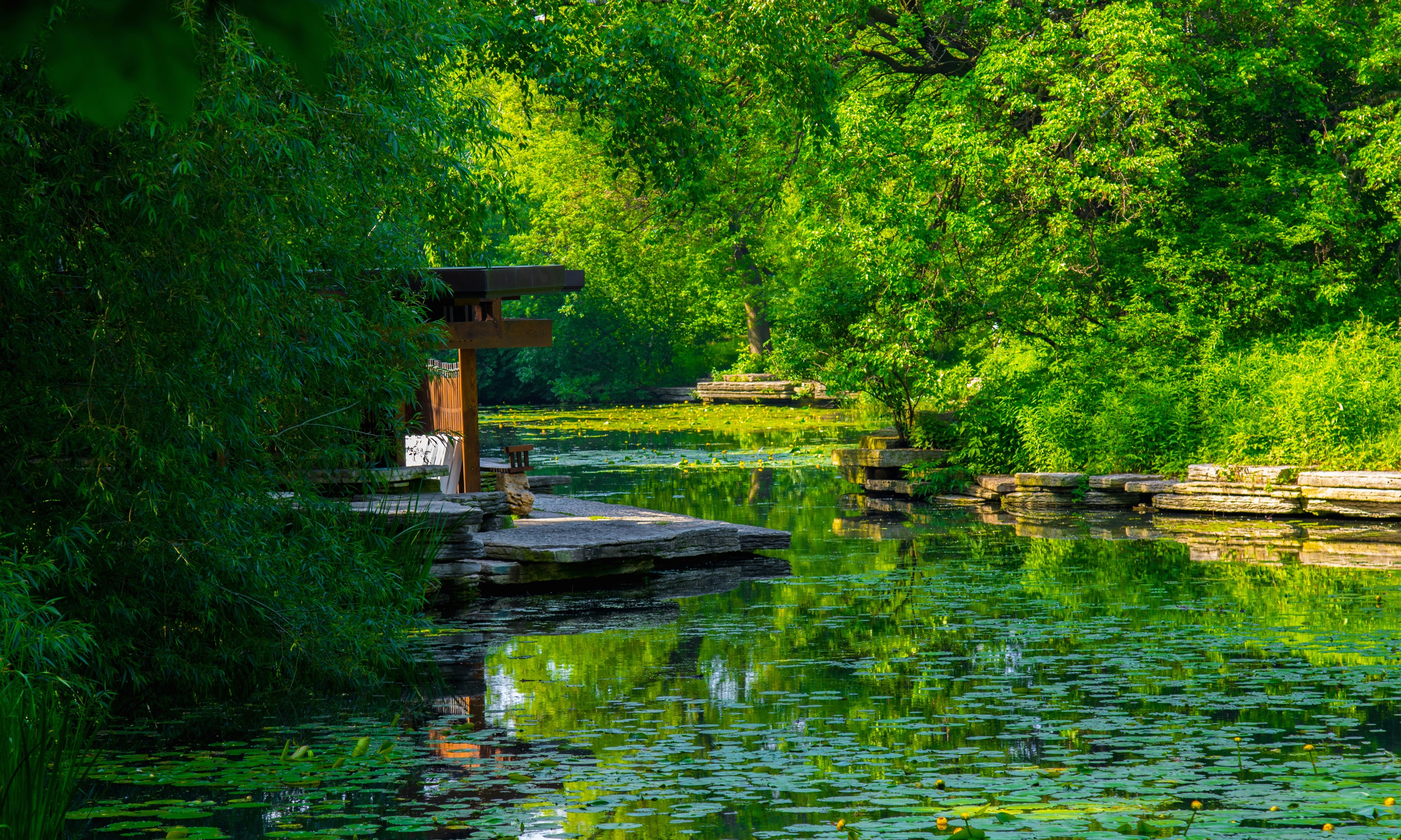 Free Unsplash photo from Josh Feldman