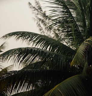 A beautifully composed frame from a short video featuring nature scenes with smooth camera movement.