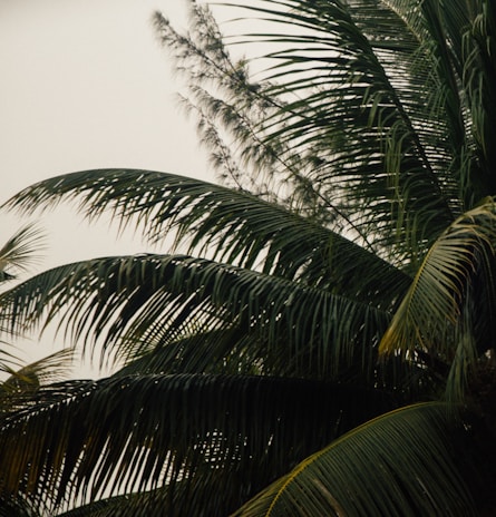 A beautifully composed frame from a short video featuring nature scenes with smooth camera movement.