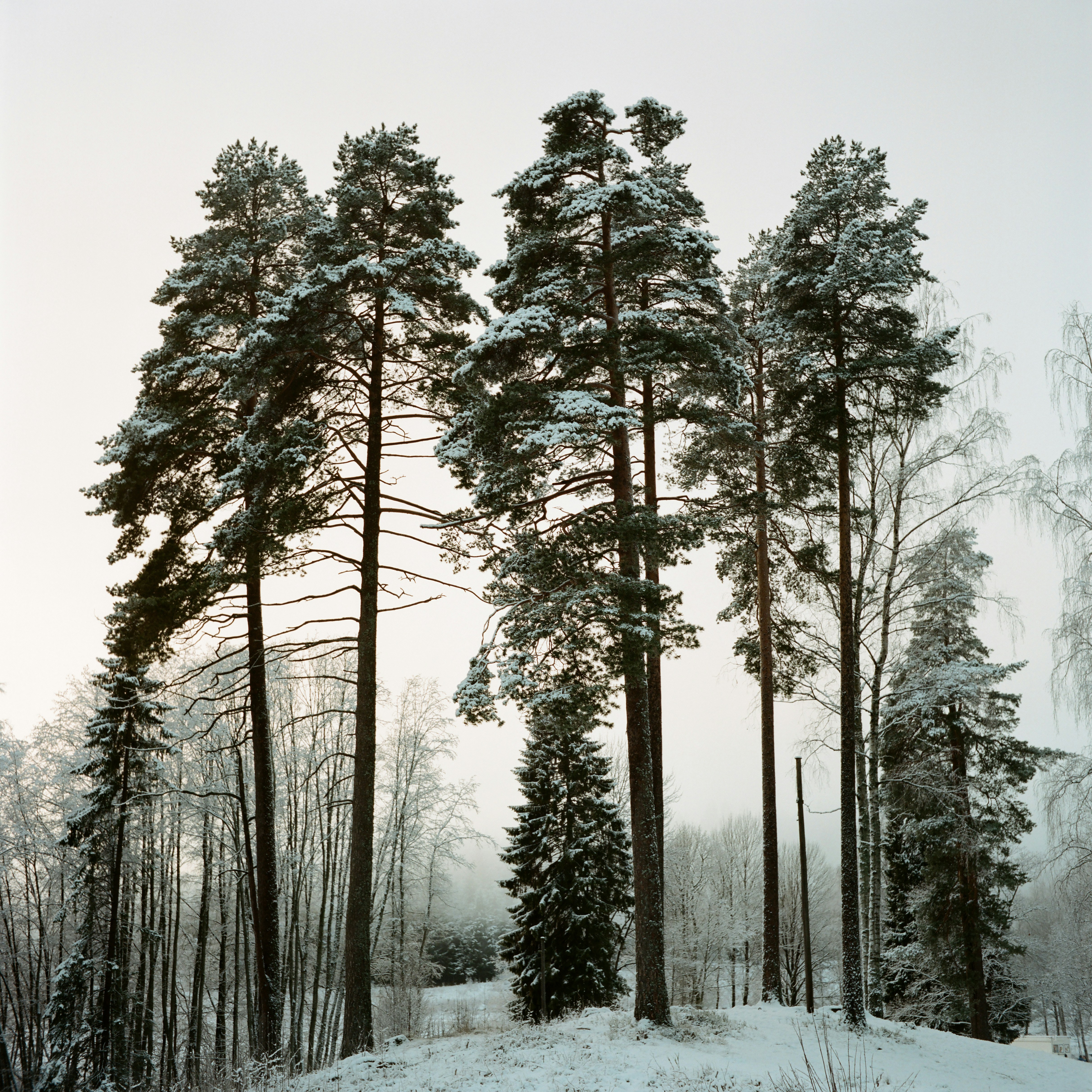 Free Unsplash photo from Ilya  Ilyukhin